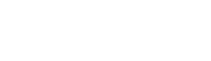 Solomon AI and 3D Vision logo in white