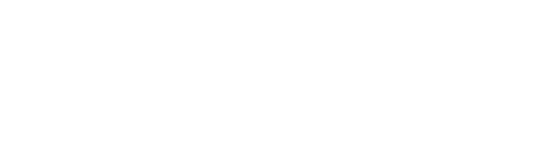 Solomon AI and 3D Vision logo in white