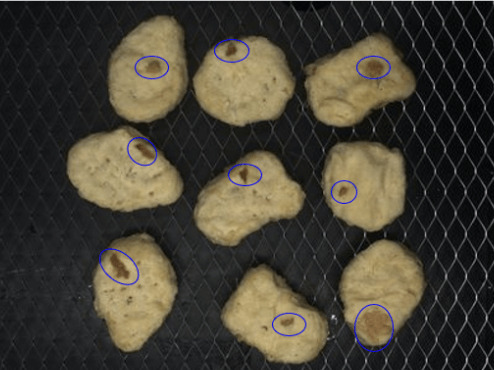 Greasy chicken nuggets detected by AI